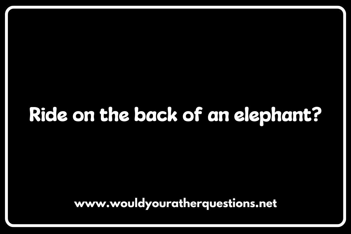 Animal Encounters: Would You Rather Questions for Kids About Nature Animal Encounters: Would You Rather Questions for Kids About Nature